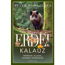 Peter Wohlleben - Erdei kalauz - Növények, állatok, évszakok, kirándulás egyéb könyv