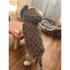 PetGear Kutyaruha - Louis Vuitton Mellény - Barna kapucnis - S kutyaruha