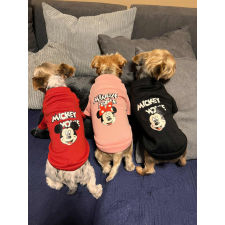 PetGear Kutyaruha - Mickey és Minnie pulóver - Fekete - S kutyaruha