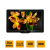 Philips 22HFL4373