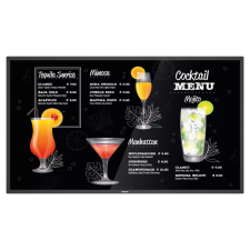 Philips 43BDL3117P monitor