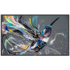 Philips 50BDL3511Q/00 monitor