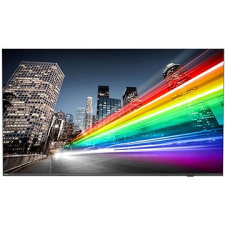 Philips 55BFL2214 monitor