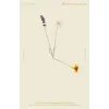 Picador The Hours / Mrs. Dalloway | Virginia Woolf