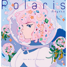 PIE International Polaris egyéb e-könyv