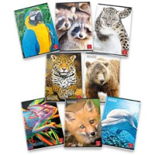 PIGNA Animal A4 tűzött 42 lapos kockás füzet (P1111-0319) füzet