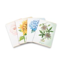 PIGNA Flower Special A4 tűzött 42 lapos vonalas füzet (P1111-2065) füzet