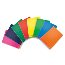 PIGNA Füzet Pigna Colours 100 A/4 tűzött 38 lapos kockás füzet