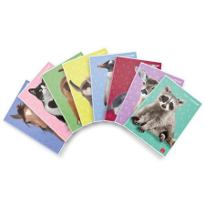 PIGNA Füzet Pigna Dolci Cuccioli A/4 tűzött 42 lapos kockás füzet