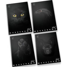 PIGNA Füzet Pigna Monocromo Black A/4 38 lapos vonalas füzet