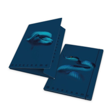 PIGNA Gumis mappa karton Pigna Monocromo Blue A/4 mappa