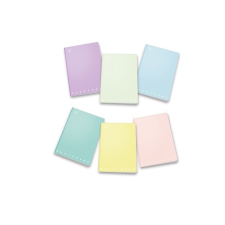 PIGNA Monocromo Pastel 42 lapos A4 kockás füzet - Többfajta (P1111-0307) füzet