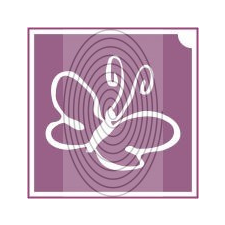 Pillangó No10 (csss0521) csillámtetoválás