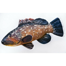 PILLOW THE DUSKY GROUPER 100CM horgászkiegészítő