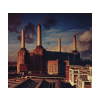 Pink Floyd Records Pink Floyd - Animals (Reissue) (CD)