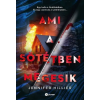 Pioneer Books Ami a sötétben megesik