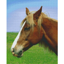  Pixel szett 16 normál alaplappal, színekkel, ló (816191) kreatív és készségfejlesztő