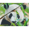  Pixel szett 16 normál alaplappal, színekkel, panda (816181)