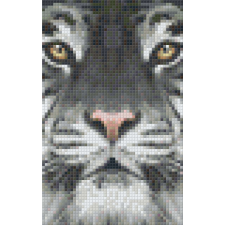 Pixel szett 2 normál alaplappal, színekkel, tigris (802107) kreatív és készségfejlesztő