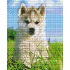 Pixel szett 4 normál alaplappal, színekkel, kutyakölyök (804270) kreatív és készségfejlesztő