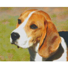  Pixel szett 9 normál alaplappal, színekkel, kutya, beagle (809381) kreatív és készségfejlesztő