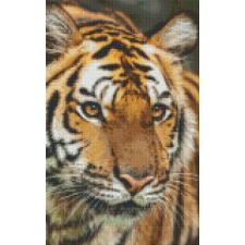  Pixelhobby  808079 Tigris szett 8 alaplapos  (25,4x40,6 cm) kreatív és készségfejlesztő