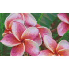  Pixelhobby  808108 Virág (40,6cmx25,4cm) 8 alaplapos szett kreatív és készségfejlesztő