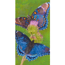 Pixelhobby Pixelhobby 806160 Pillangók szett 6 alaplapos (20,3x38,1 cm) kreatív és készségfejlesztő