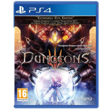 PLAION Dungeons 3 Extremely Evil Edition, PlayStation 4, Konzol játékszoftver videójáték