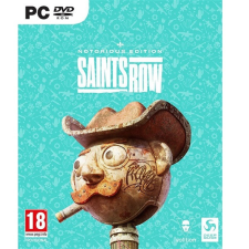 PLAION Saints Row Notorious Edition PC játékszoftver videójáték