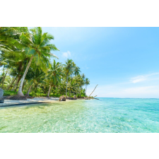  Plaja4 öntapadós és mosható fali tapéta, 250 x 200 cm tapéta, díszléc és más dekoráció