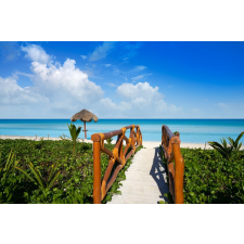  Plaja55 öntapadós tapéta, 300 x 250 cm tapéta, díszléc és más dekoráció