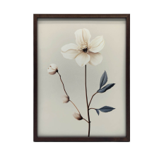 PLAKÁT FALRA FEHÉR KERETBEN FEHÉR ANEMONE MINIMALISM 30x40 CM grafika, keretezett kép