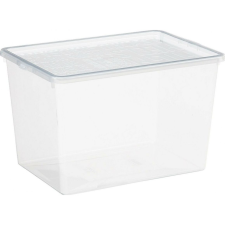 Plast Team Iris Basic Shoebox Műanyag Tárolódoboz tetővel 11,5L - Átlátszó (TEA000432) bútor
