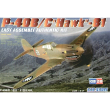  Plasztik modell P-40B/C Hawk-81 makett