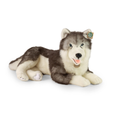 Plüss Husky Kutya, 60 cm, Környezetbarát plüssfigura