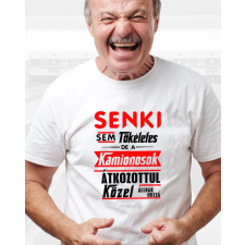 Póló kamionosoknak - Kamionos ajándék - Senki sem tökéletes női póló