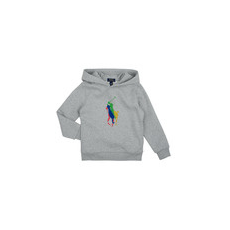 Polo Ralph Lauren Pulóverek PO HOOD-KNIT SHIRTS-SWEATSHIRT Szürke 5 ans