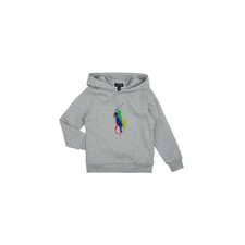 Polo Ralph Lauren Pulóverek PO HOOD-KNIT SHIRTS-SWEATSHIRT Szürke 7 ans gyerek pulóver, kardigán