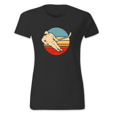 polofun.hu Jéghoki, retró