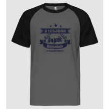 Pólómánia A legjobb anyák - Május - Férfi Baseball Póló férfi póló