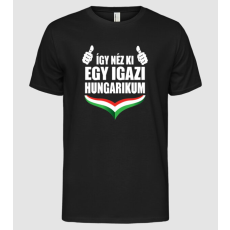 Pólómánia Így néz ki egy igazi Hungarikum - Férfi Alap póló