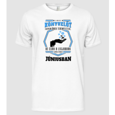 Pólómánia Minden könyvelőt egyenlőnek teremtettek...JÚNIUS - Férfi Alap póló