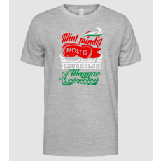 Pólómánia Mint mindig, most is... - Férfi Alap póló