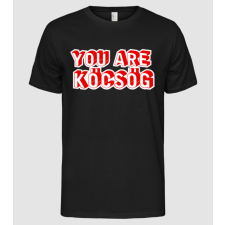 Pólómánia You are köcsög - Férfi Alap póló férfi póló