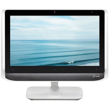 Poly P21 (2200-87100-101) monitor