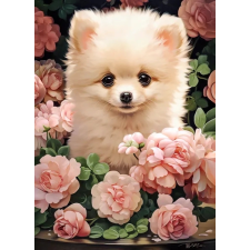 pomerániai kiskutya rózsák között puzzle 300 darabos puzzle, kirakós