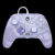 PowerA Enhanced USB Gamepad for Xbox Series X/S Lavender Swirl