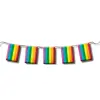Pride Items PRIDE - LGBT ZÁSZLÓSZALAG 10 MÉTER.