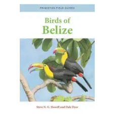 Princeton University Press Birds of Belize | Dale Dyer,Dale Dyer egyéb könyv